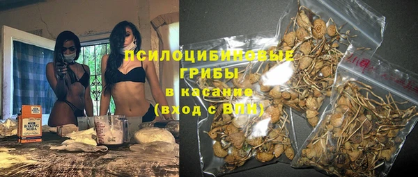 дмт Алексин