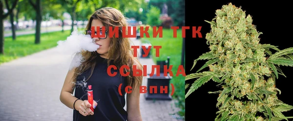 дмт Алексин