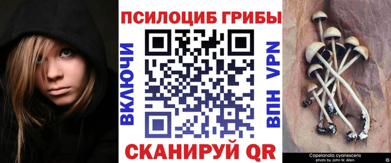 Псилоцибиновые грибы мухоморы  Санкт-Петербург 