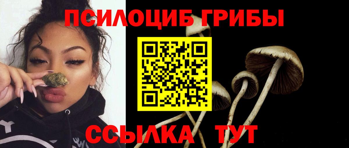 Галлюциногенные грибы мицелий  Вход с VPN  где купить наркотик  Санкт-Петербург 